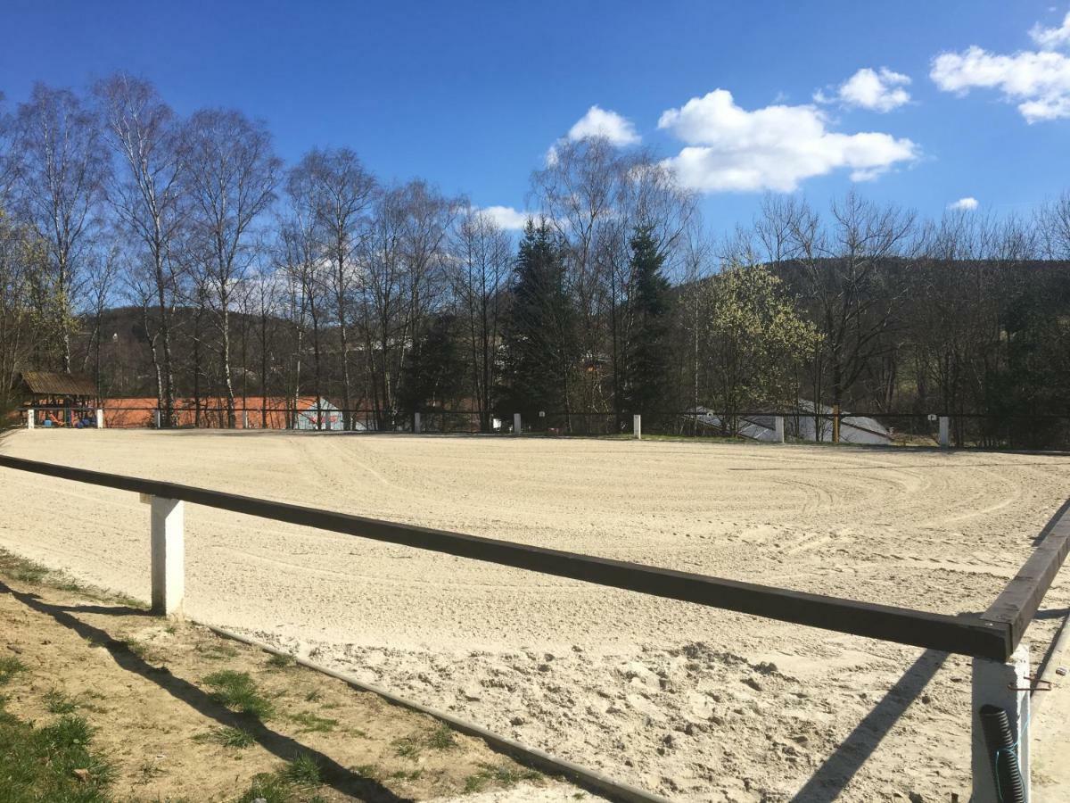 Ferienhaus "Am Bergblick" Sebnitz Εξωτερικό φωτογραφία